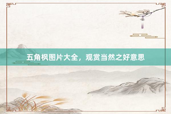 五角枫图片大全，观赏当然之好意思